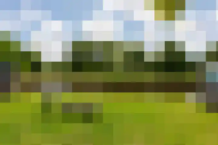 Bevelandstraat 14 Alkmaar thumbnail 37