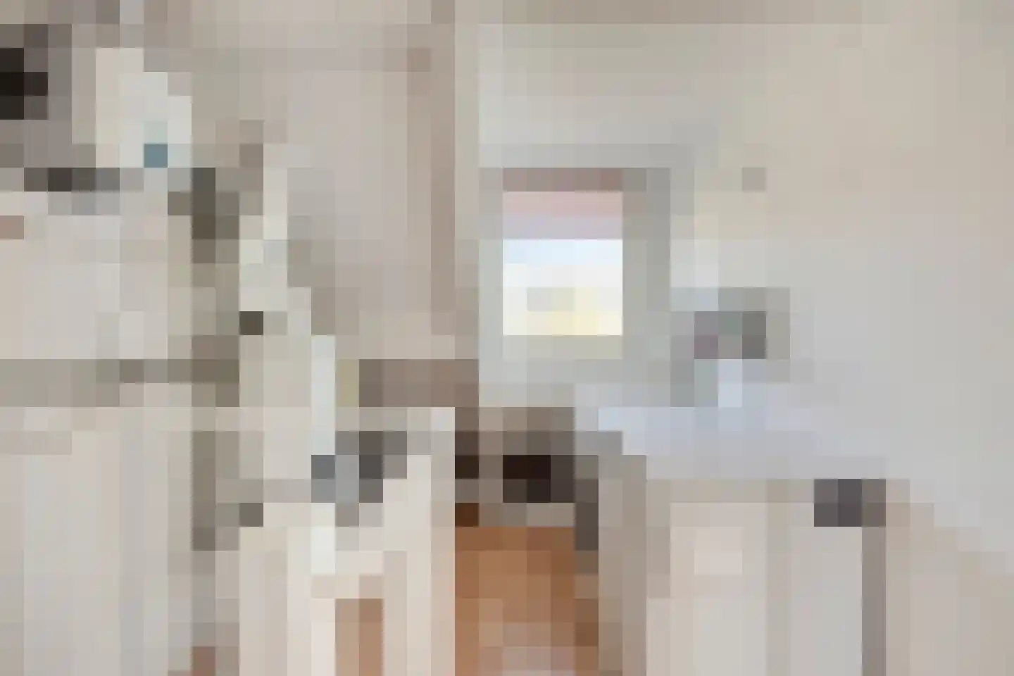 Bevelandstraat 24 Alkmaar thumbnail 24