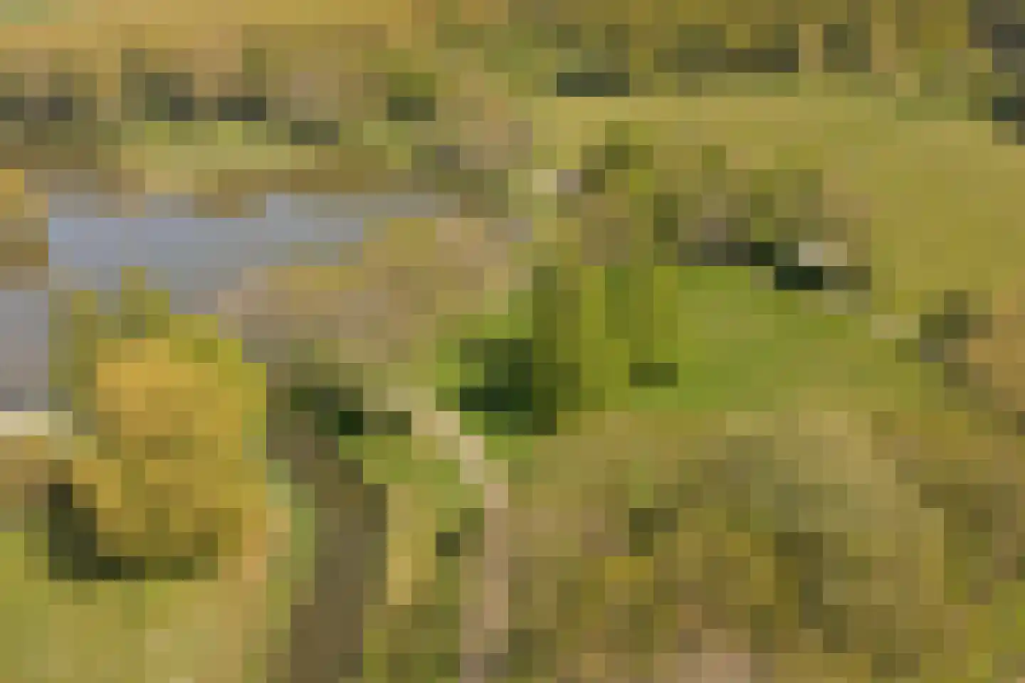 Bever 11 Hellevoetsluis thumbnail 36