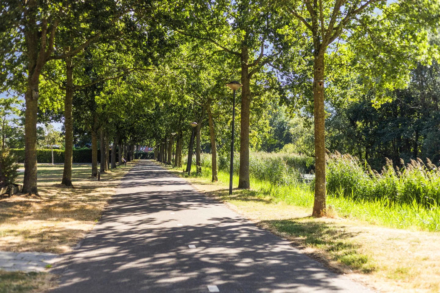 Bever 17 Amersfoort thumbnail 39