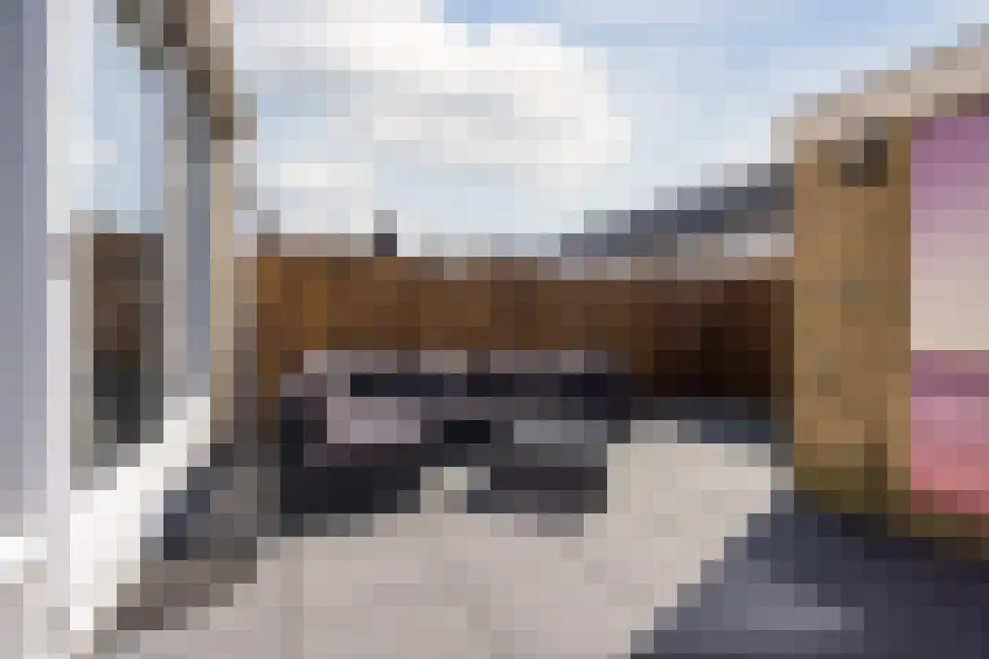 Bever 4 Hellevoetsluis thumbnail 25
