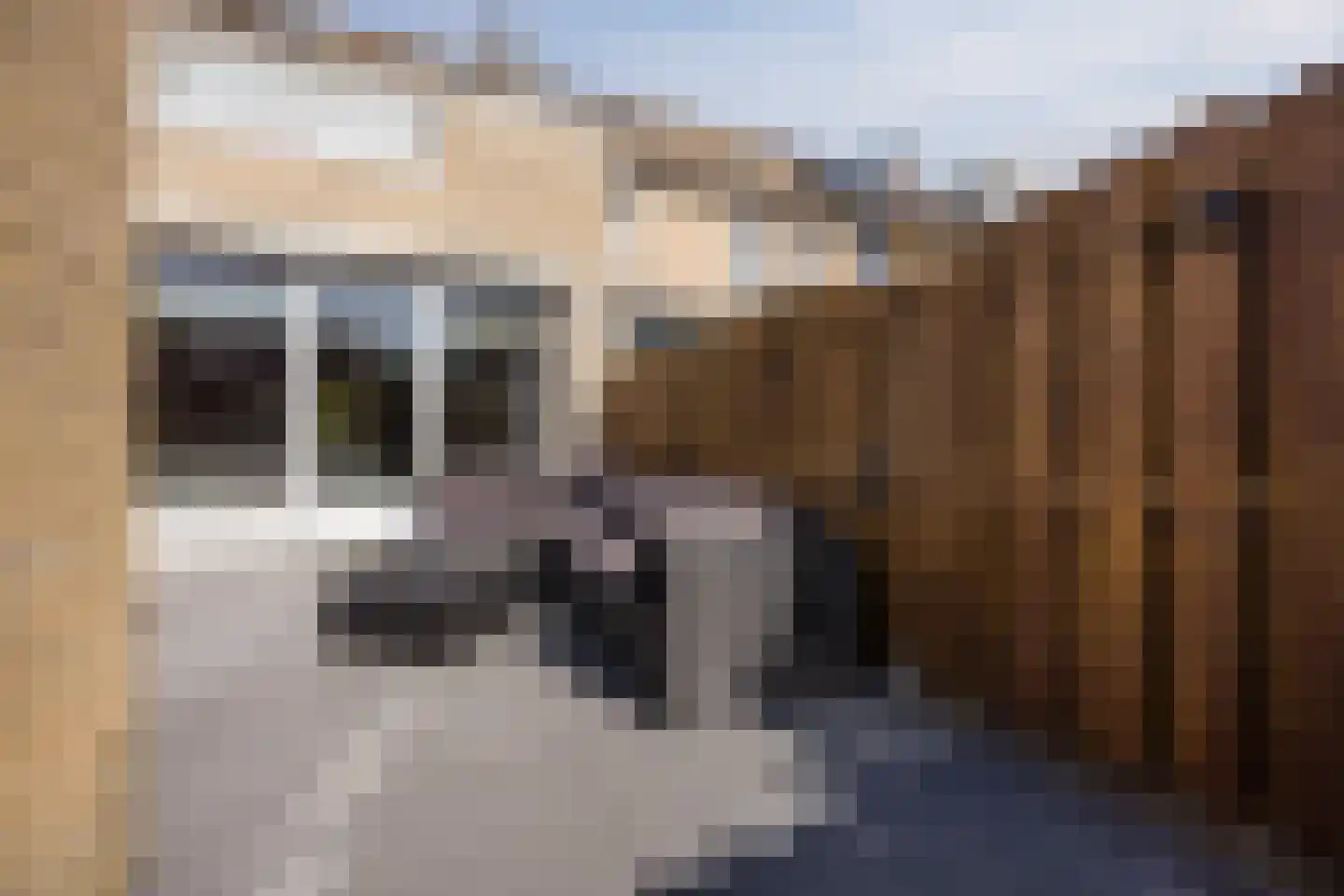 Bever 4 Hellevoetsluis thumbnail 27