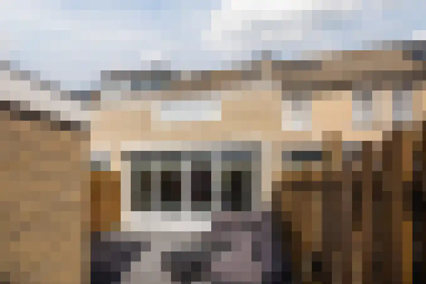 Bever 4 Hellevoetsluis thumbnail 28