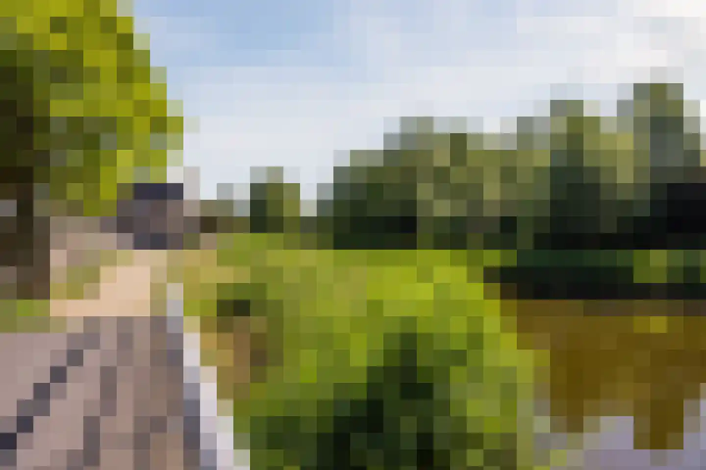 Bever 4 Hellevoetsluis thumbnail 31