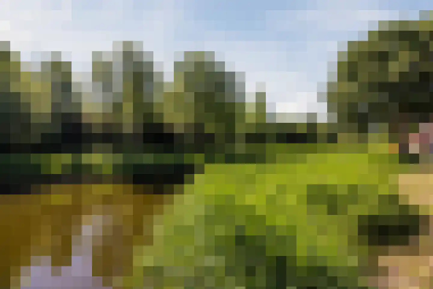 Bever 4 Hellevoetsluis thumbnail 32