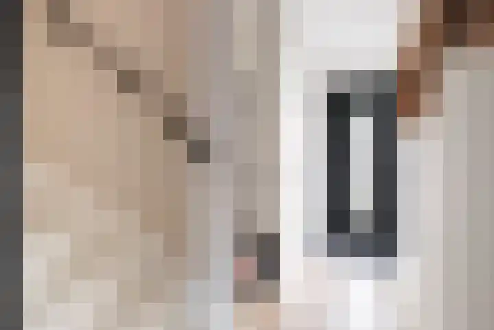 Beverakker 16 Houten thumbnail 10