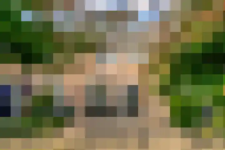 Beverakker 16 Houten thumbnail 4