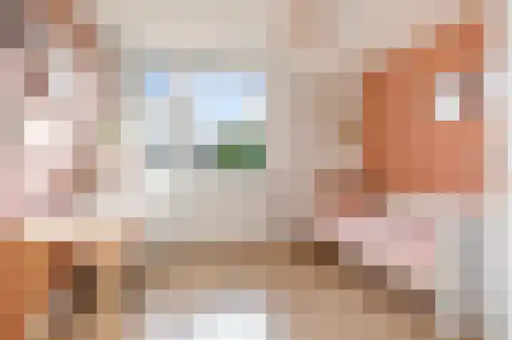 Beverakker 16 Houten thumbnail 43
