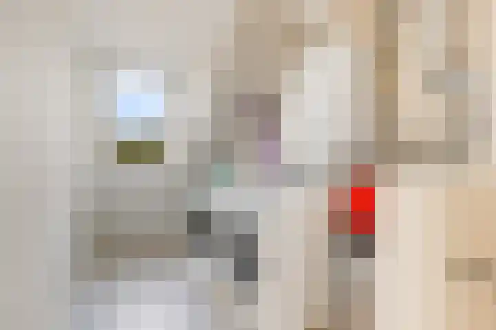 Beverakker 16 Houten thumbnail 50