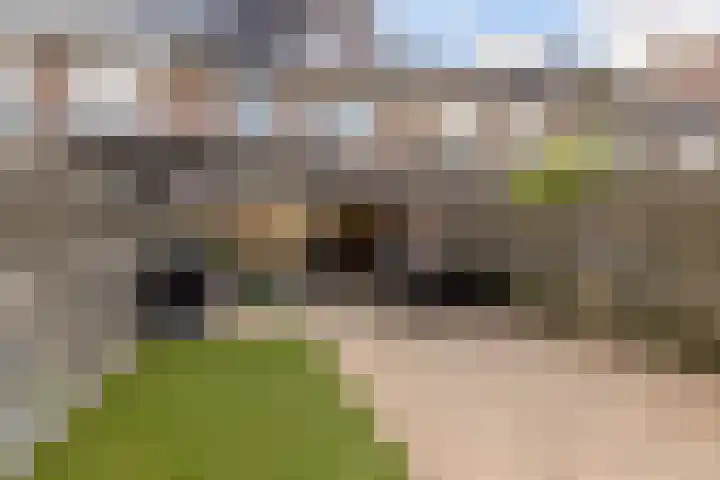 Beverakker 16 Houten thumbnail 61