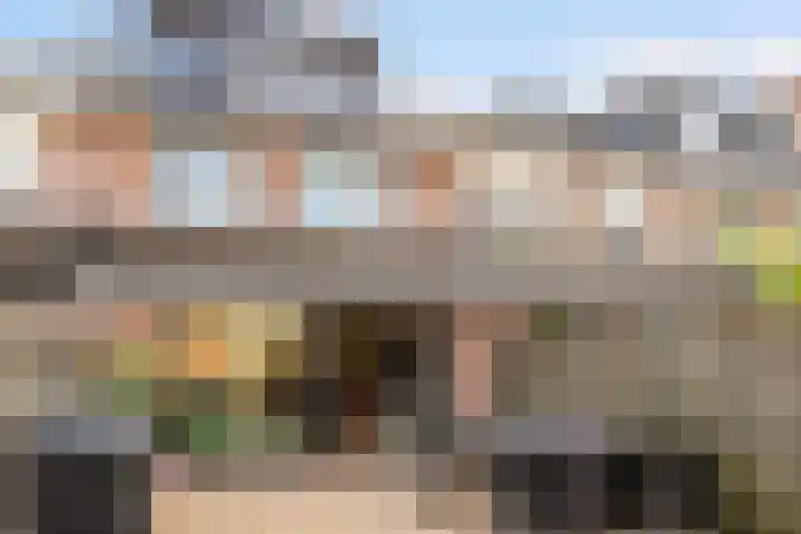 Beverakker 16 Houten thumbnail 63