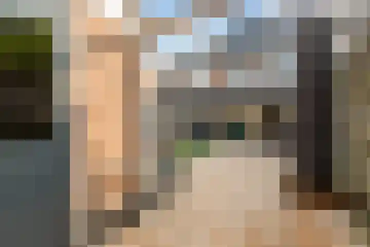 Beverakker 16 Houten thumbnail 66