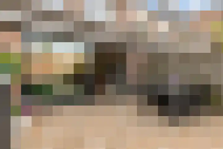 Beverakker 16 Houten thumbnail 67