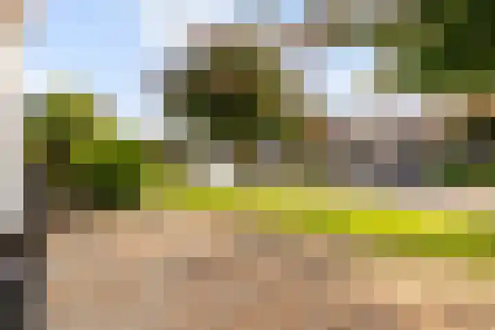 Beverakker 16 Houten thumbnail 7