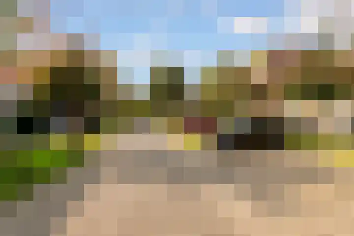 Beverakker 16 Houten thumbnail 70