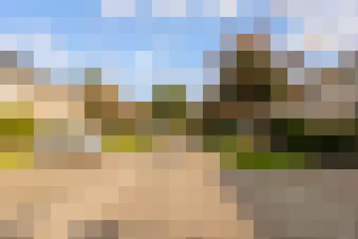 Beverakker 16 Houten thumbnail 71