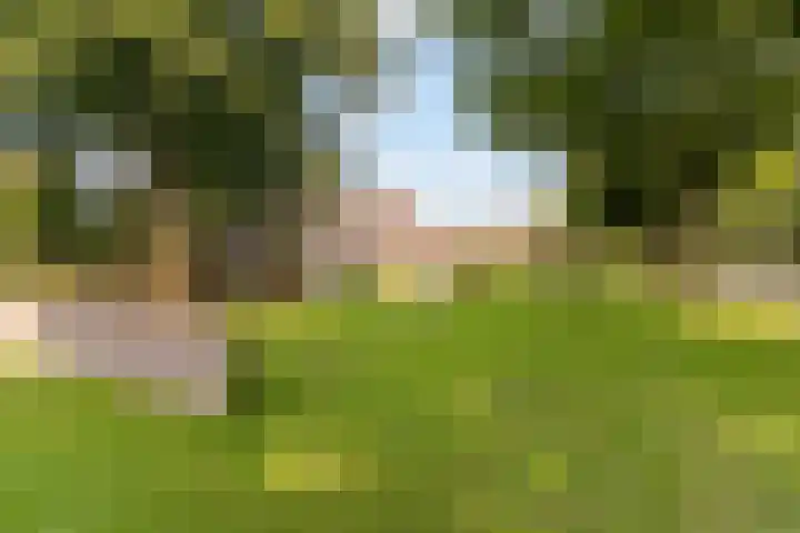 Beverakker 16 Houten thumbnail 72