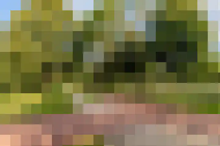 Beverakker 16 Houten thumbnail 74