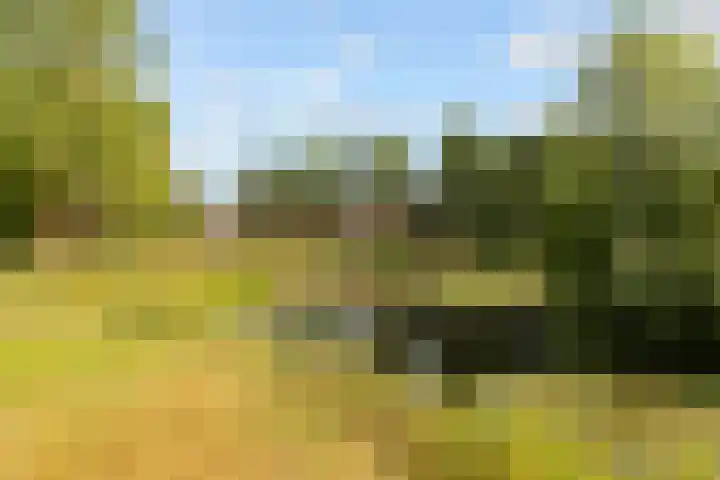 Beverakker 16 Houten thumbnail 75