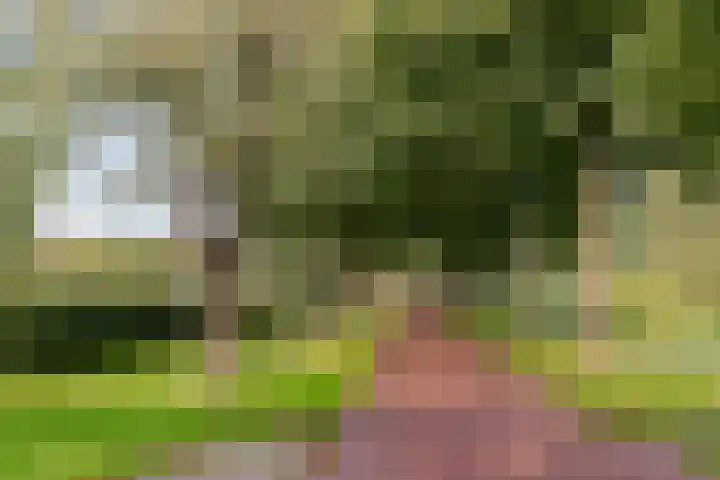 Beverakker 16 Houten thumbnail 78