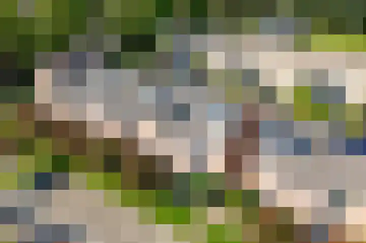 Beverakker 16 Houten thumbnail 79
