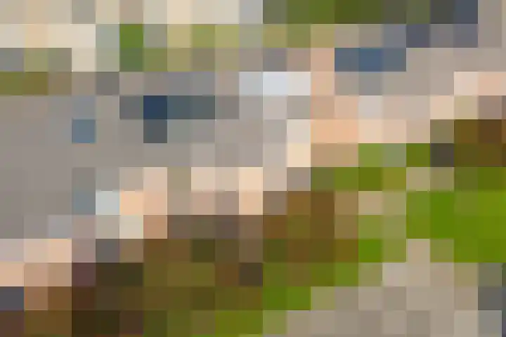 Beverakker 16 Houten thumbnail 80