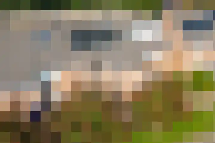 Beverakker 16 Houten thumbnail 81