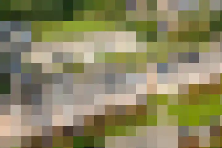 Beverakker 16 Houten thumbnail 82