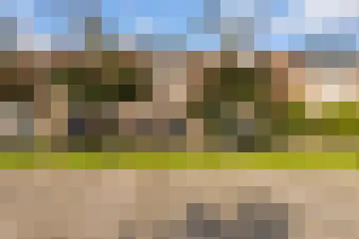 Beverakker 16 Houten thumbnail 87