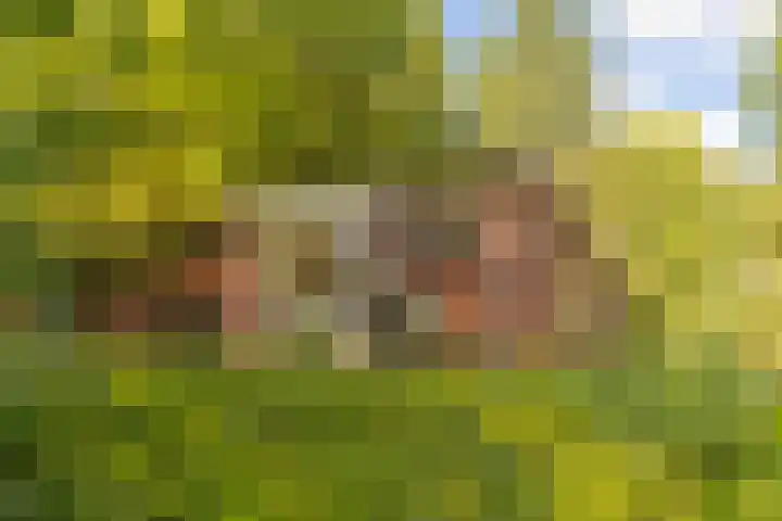 Beverborgsweg 10 Beuningen thumbnail 20
