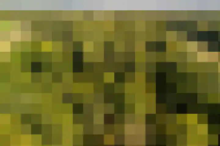Beverborgsweg 10 Beuningen thumbnail 25