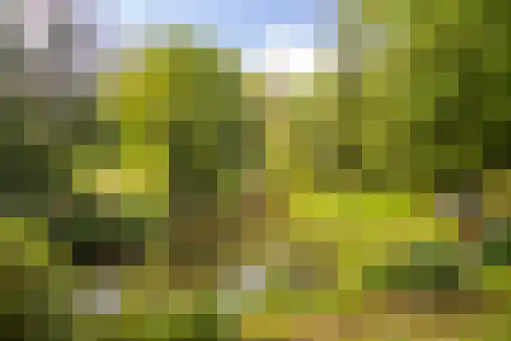Beverborgsweg 10 Beuningen thumbnail 27
