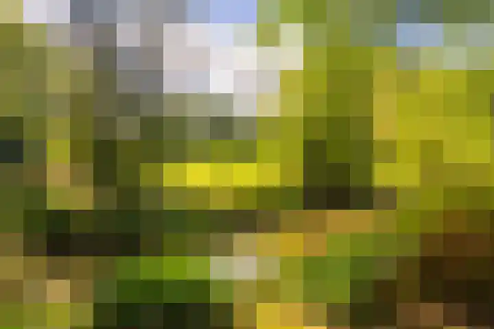 Beverborgsweg 10 Beuningen thumbnail 28