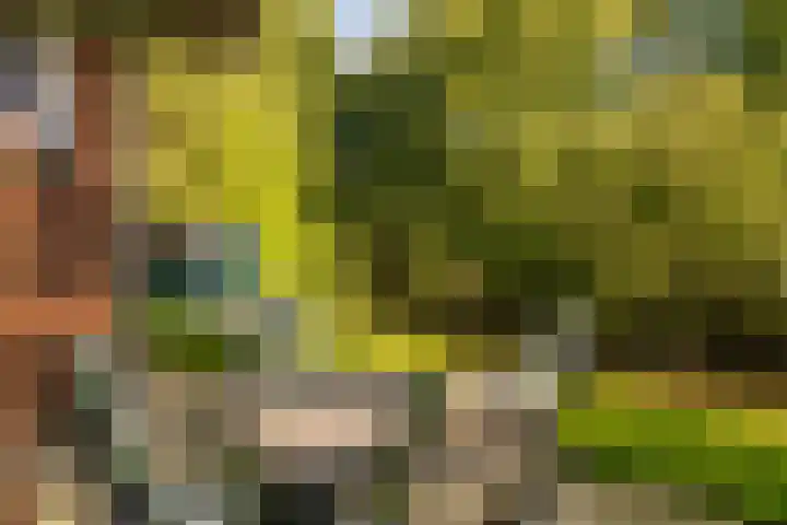 Beverborgsweg 10 Beuningen thumbnail 4