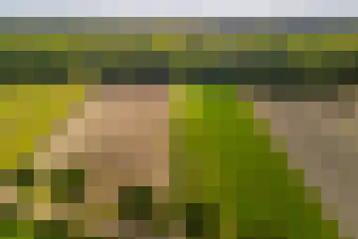 Beverborgsweg 10 Beuningen thumbnail 6