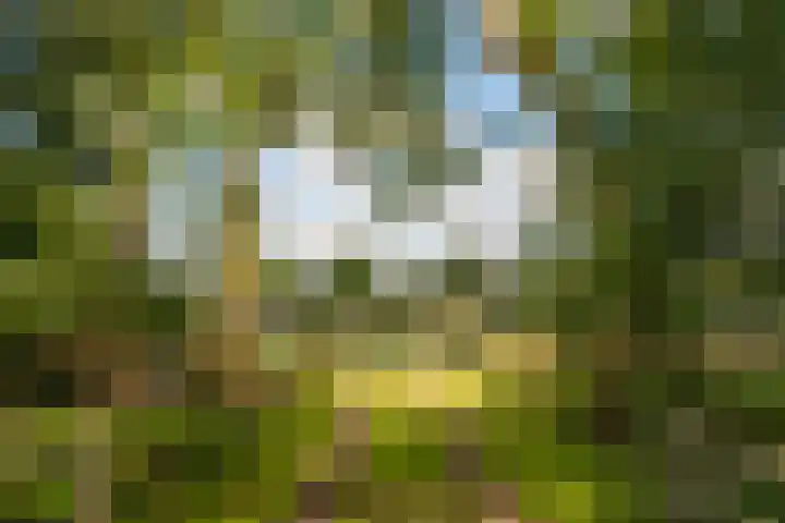 Beverborgsweg 10 Beuningen thumbnail 7