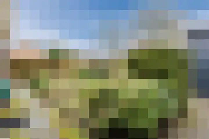 Beverdonk 3 Dongen thumbnail 14