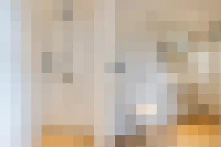 Beverdonk 3 Dongen thumbnail 23