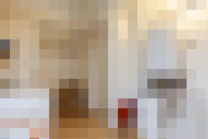 Beverdonk 3 Dongen thumbnail 25