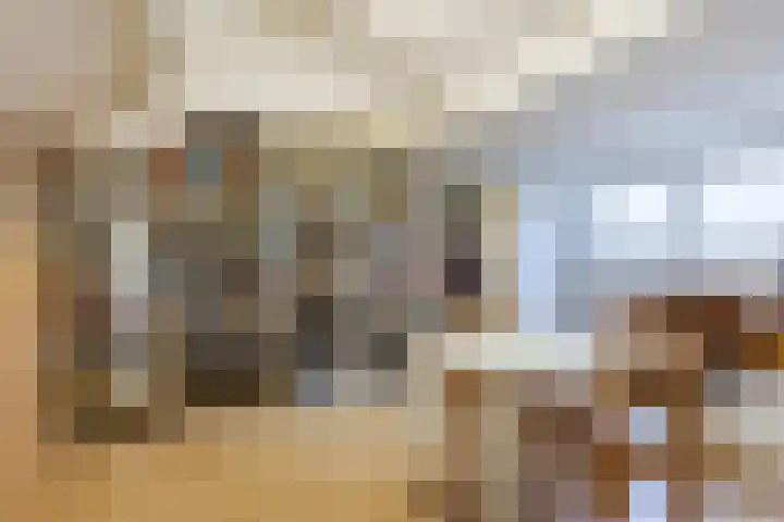 Beverdonk 3 Dongen thumbnail 27