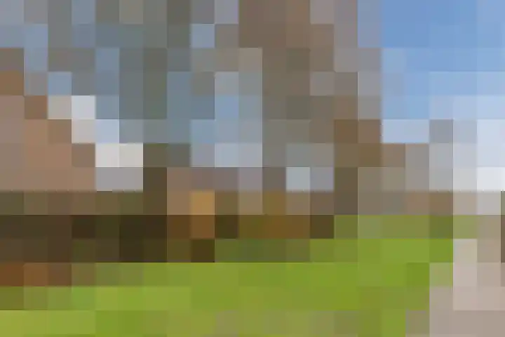 Beverdonk 3 Dongen thumbnail 29