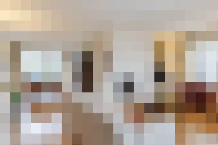 Beverdonk 3 Dongen foto 3