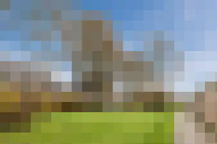 Beverdonk 3 Dongen thumbnail 30