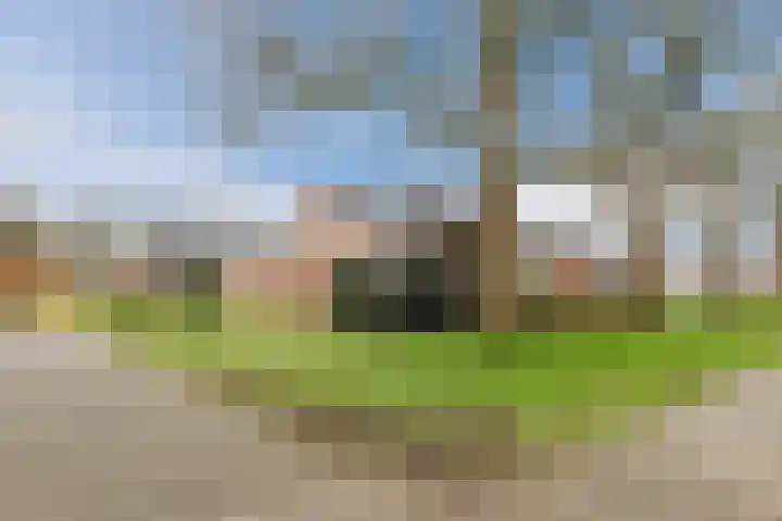Beverdonk 3 Dongen thumbnail 31