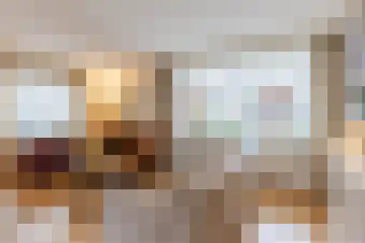 Beverdonk 3 Dongen thumbnail 7