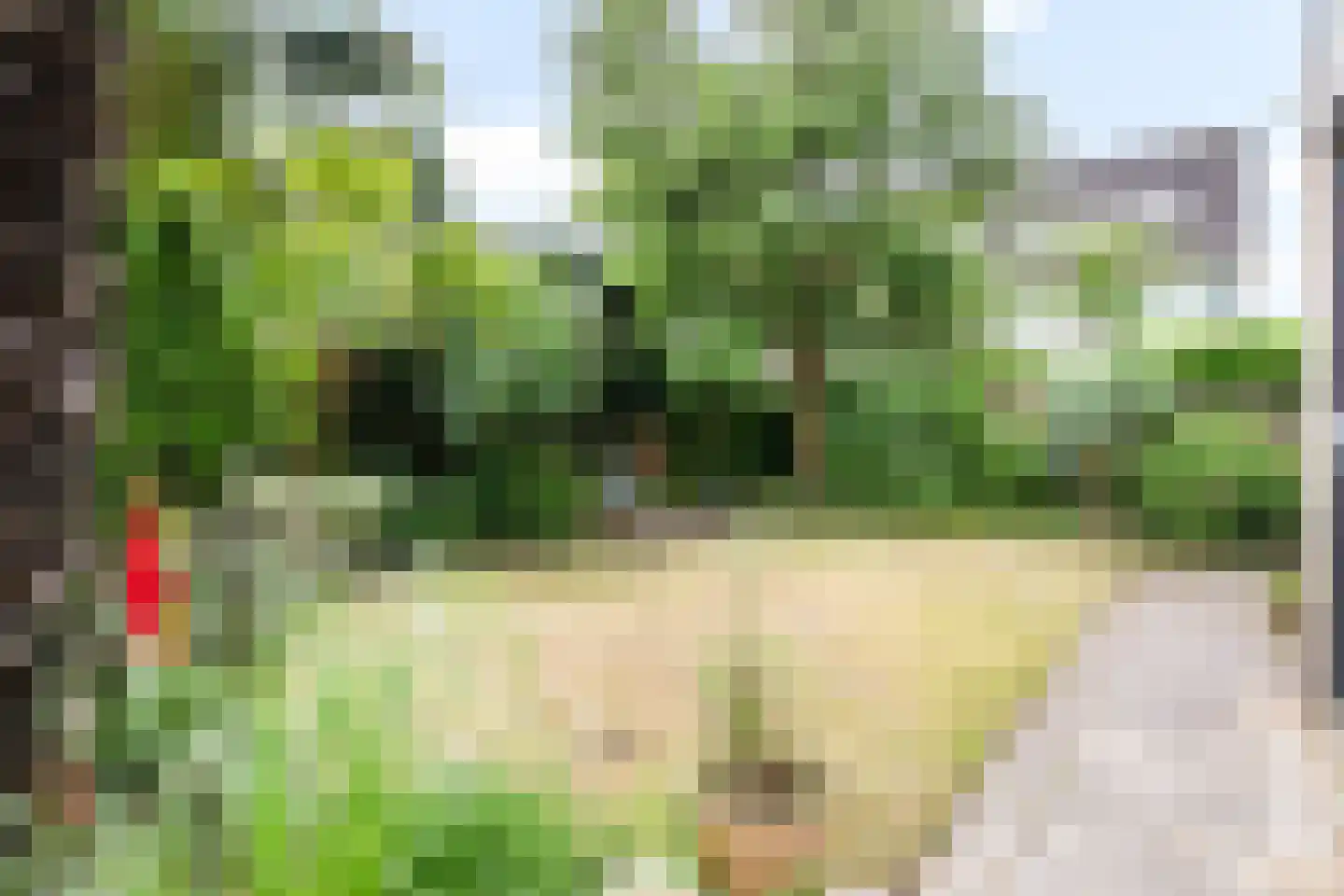 Beveren 8 Nieuw-Vennep thumbnail 27