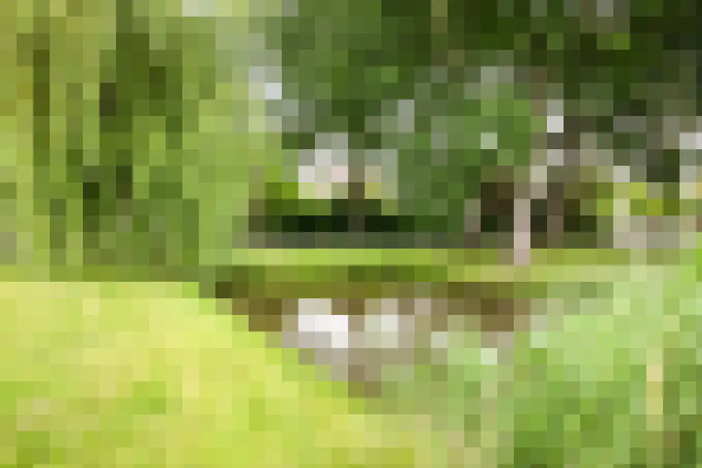 Beveren 8 Nieuw-Vennep thumbnail 34