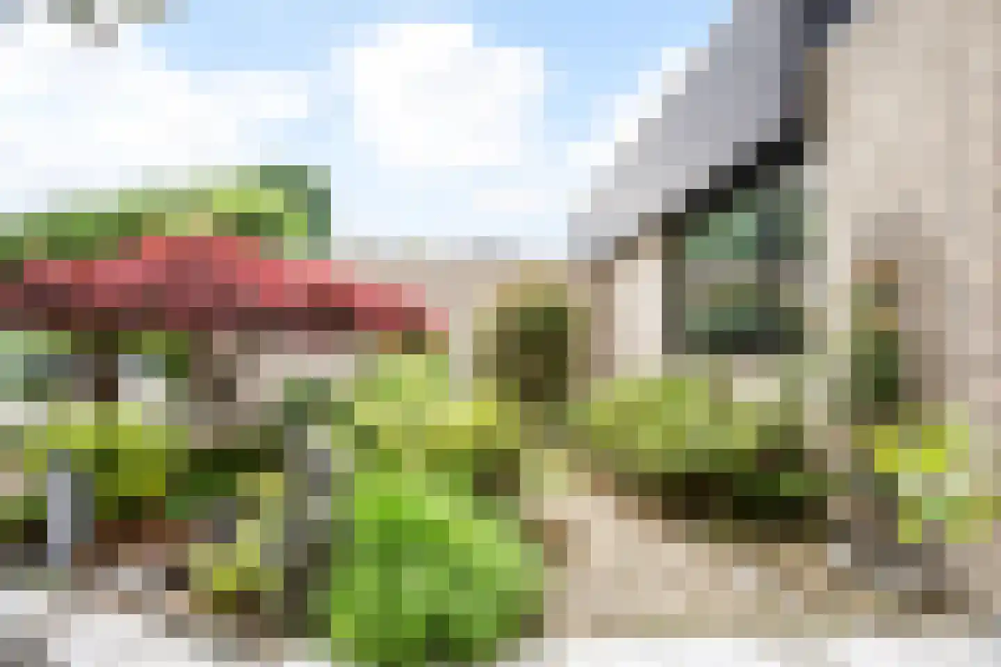 Beveren 8 Nieuw-Vennep thumbnail 7