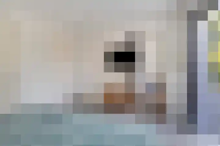 Beverenlaan 8 Roosendaal thumbnail 22