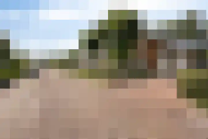 Beverenlaan 8 Roosendaal thumbnail 4